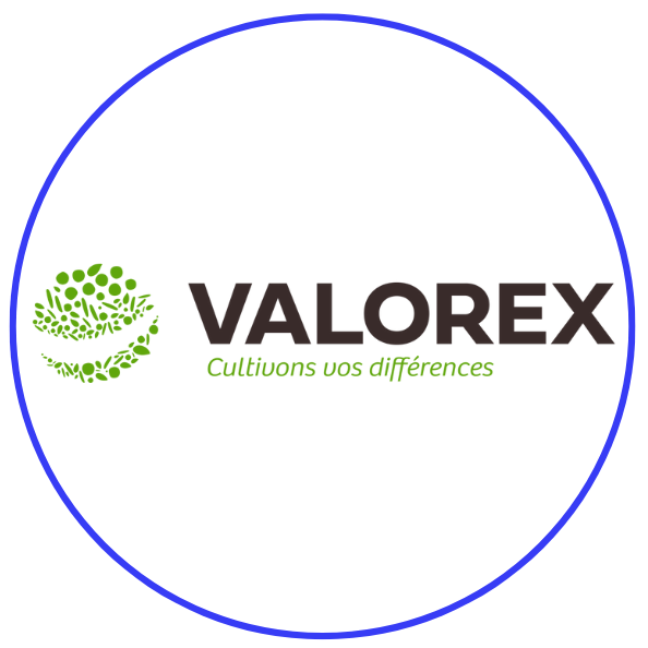 Logo VALOREX