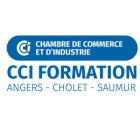 logo cciformation49